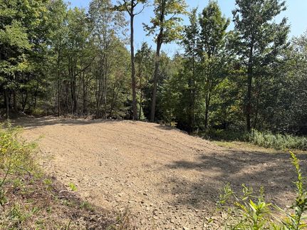 Undeveloped Land for sale in Allegany County, New York