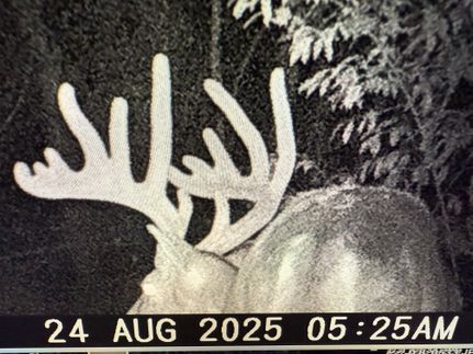 Ranch Property for sale in Saline County, Illinois