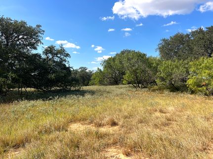 Property for sale in Atascosa County, Texas