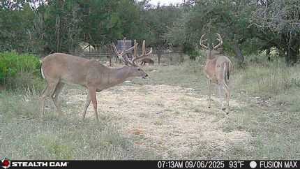 Farm Property for sale in Edwards County, Texas