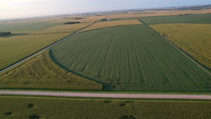 Property for sale in Dodge County, Nebraska