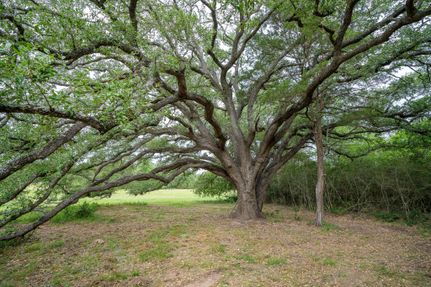 Property for sale in Caldwell County, Texas