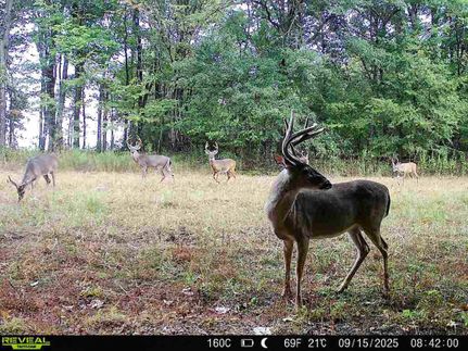 Farm Property for sale in Panola County, Mississippi