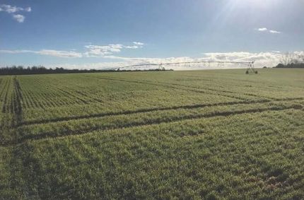 Farm Property for sale in Sumter County, Georgia