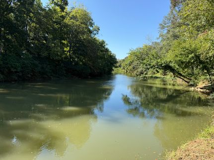 Undeveloped Land in Cherokee County, Alabama