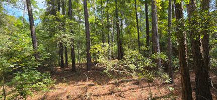 Farm Property for sale in Dodge County, Georgia