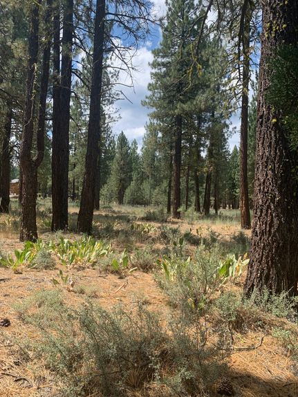 Residential Property for sale in Plumas County, California