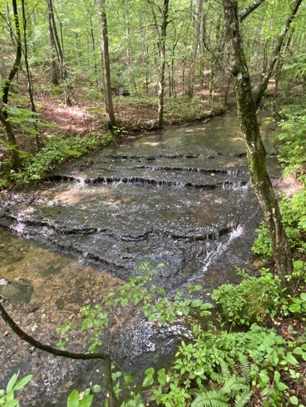 Property for sale in Lewis County, Tennessee