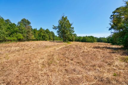 Timberland Property for sale in Wilkes County, Georgia