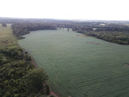 Property for sale in Lawrence County, Alabama