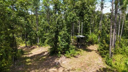Timberland Property in Caldwell Parish, Louisiana