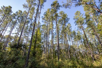 Property for sale in Holmes County, Florida