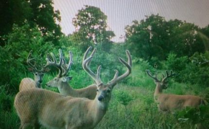 Property for sale in Pontotoc County, Oklahoma