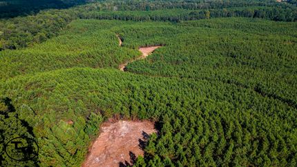 Timberland Property for sale in Chester County, Tennessee