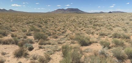 Property for sale in Conejos County, Colorado