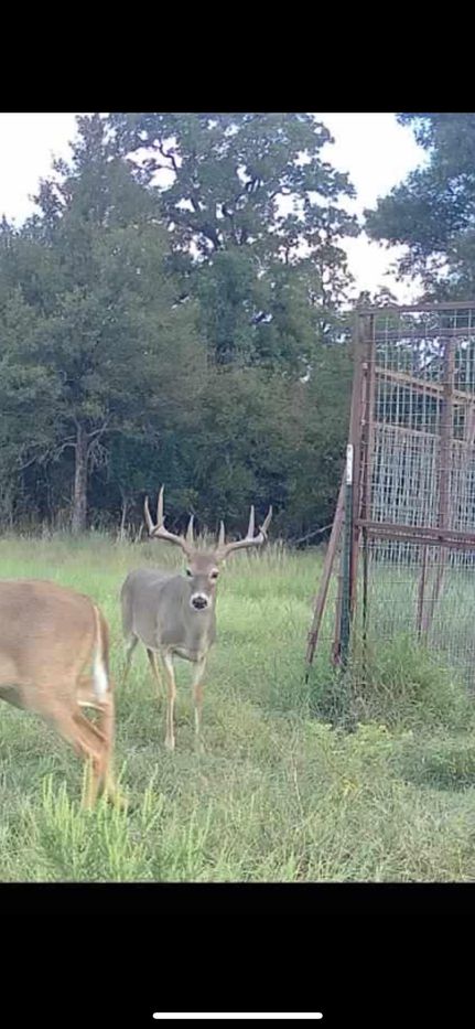 Farm Property for sale in Erath County, Texas