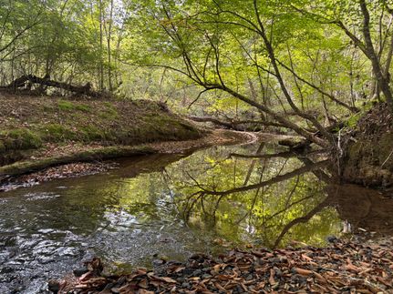 Farm Property for sale in Tishomingo County, Mississippi