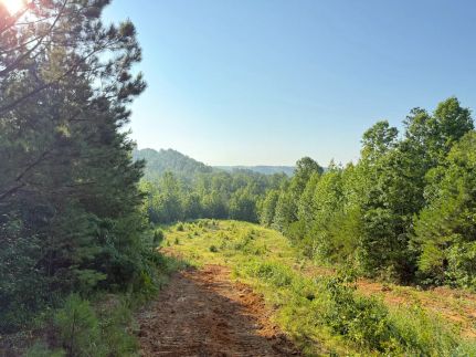 Property for sale in Marion County, Alabama