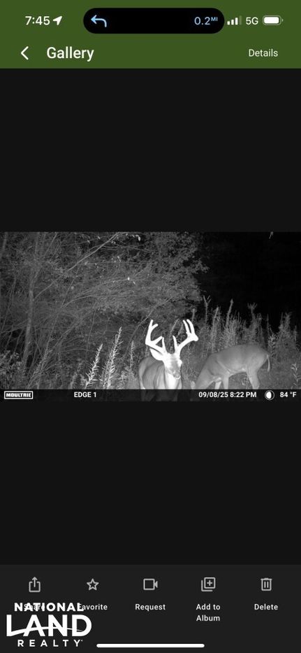 Property for sale in Blount County, Alabama