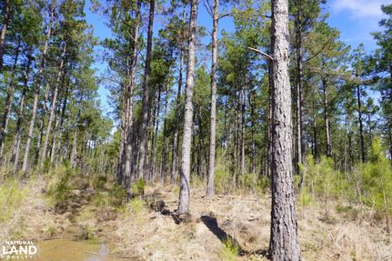 Hunting Land for sale in Cleveland County, Arkansas