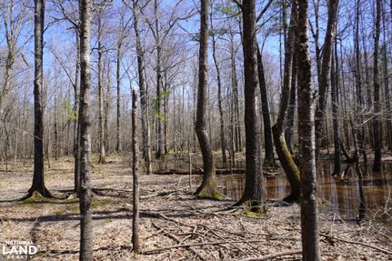 Property for sale in Dallas County, Arkansas