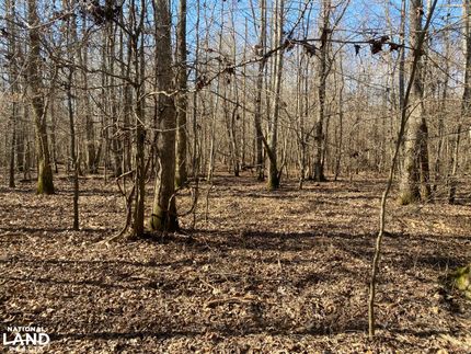 Property for sale in Dallas County, Arkansas