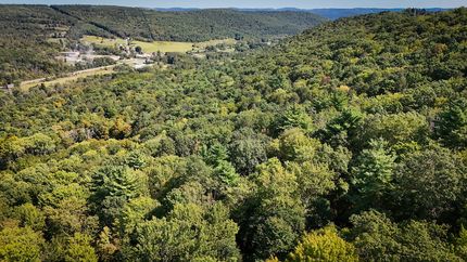 Property for sale in Tioga County, New York