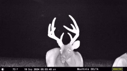 Hunting Land for sale in Colbert County, Alabama