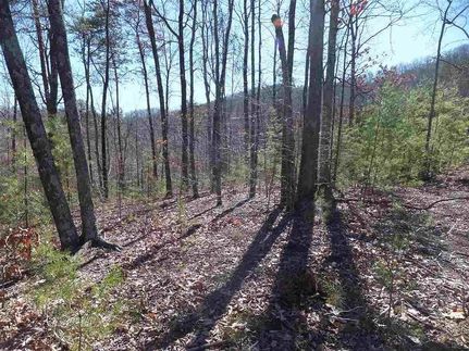 Farm Property for sale in Cocke County, Tennessee