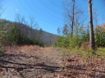 Recreational Property for sale in Cocke County, Tennessee