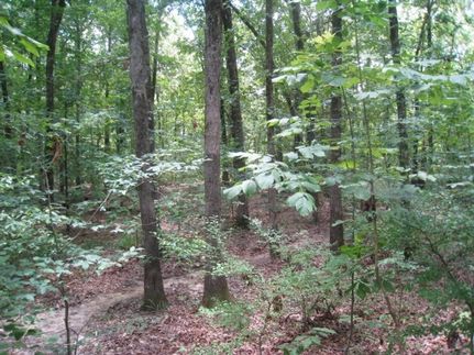 Property for sale in Miller County, Arkansas