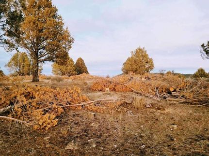 Undeveloped Land for sale in Klamath County, Oregon