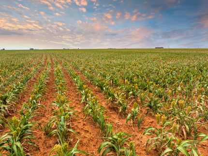 Recreational Property for sale in Hockley County, Texas