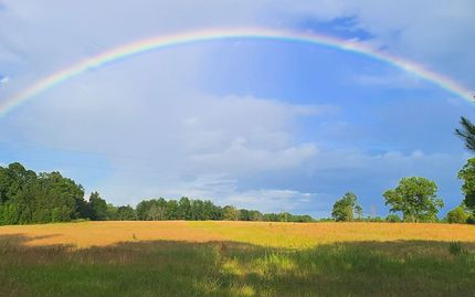 Property for sale in Chambers County, Alabama