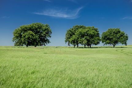 Farm Property for sale in Clay County, Texas