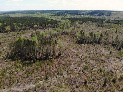 Undeveloped Land for sale in Barbour County, Alabama