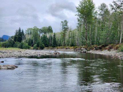 Undeveloped Land for sale in Jefferson County, Washington