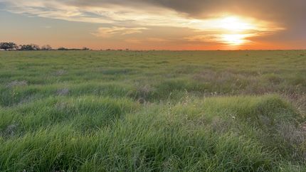 Farm Property for sale in Throckmorton County, Texas