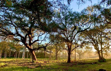 Recreational Property for sale in Fort Bend County, Texas