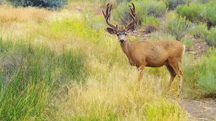 Property for sale in San Miguel County, Colorado