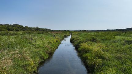 Hunting Land for sale in Green County, Wisconsin