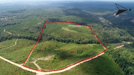 Hunting Land for sale in Lauderdale County, Alabama