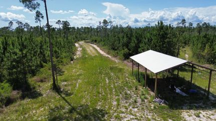 Hunting Land for sale in Bay County, Florida