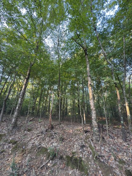 Ranch Property for sale in Shelby County, Texas