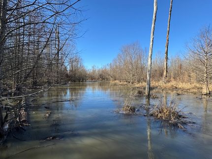 Farm Property for sale in Drew County, Arkansas