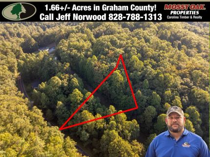 Property for sale in Graham County, North Carolina