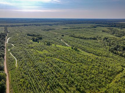 Property for sale in Clay County, Illinois