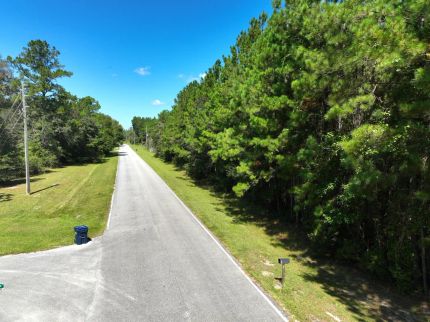 Timberland Property for sale in Camden County, Georgia