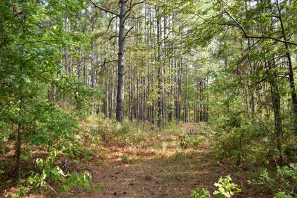 Recreational Property for sale in Nacogdoches County, Texas