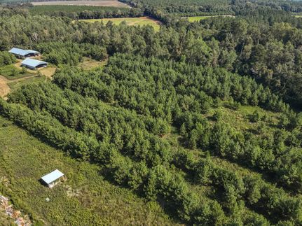 Property for sale in Macon County, Georgia